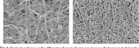 Figure 3 from Production of Bacterial Cellulose by Acetobacter xylinum through Utilizing Acetic ...