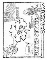 Facts About Coloring – Coloring Page sketch template