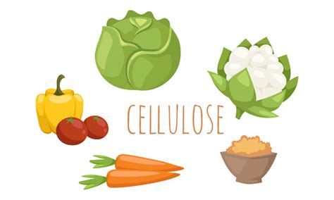 Cellulose and food: an environmentally-friendly optimiser?