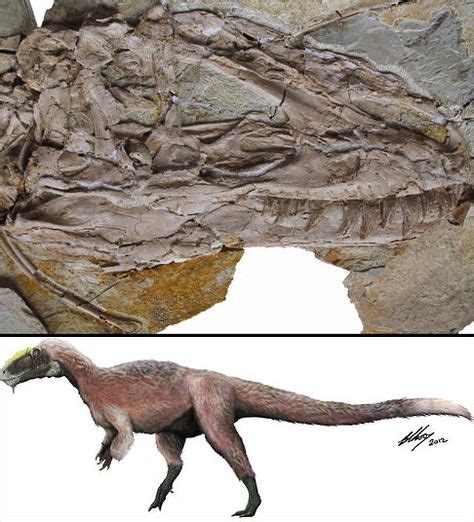 30 Yutyrannus ideas | paleontology, prehistoric, dinosaur