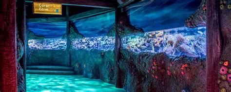 Ticket Prices - Save Up To 25% | SEA LIFE Sydney Aquarium