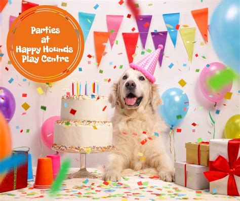 Pet Parties – Happy Hounds