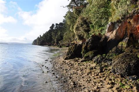 Smithsonian Insider – Climate Change May Benefit Native Oysters, but There’s a Catch ...