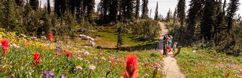 Mount Revelstoke National Park - Snowforest Campground | Camping & RVing BC