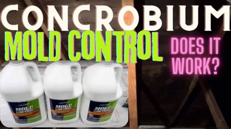 DIY Concrobium Mold Control Solution Spray Application and Results | Attic Black Mold ...