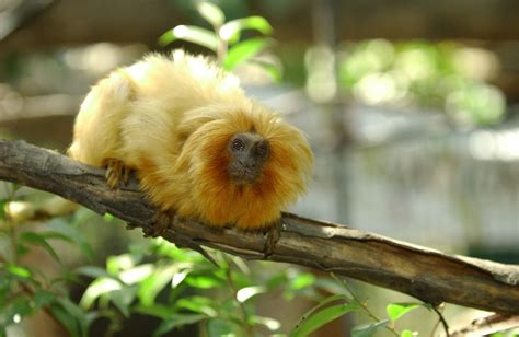 Santa Ana Zoo | Buena Park, CA