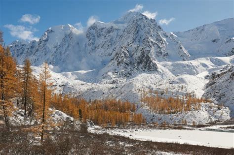 Altai mountains stock image. Image of panoramic, forest - 142929675