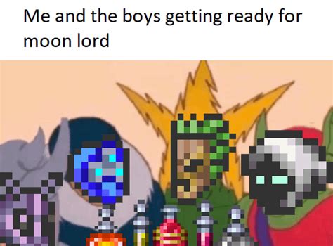 Expert mode moon lord was actually a difficult task for us : Terraria