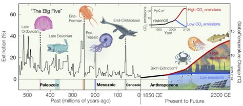 Unchecked global emissions on track to initiate mass extinction of ...