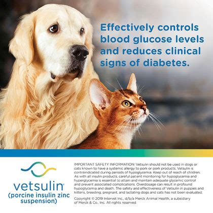 Vetsulin Insulin for Dogs and Cats - PetMedMart | Pet Pharmacy