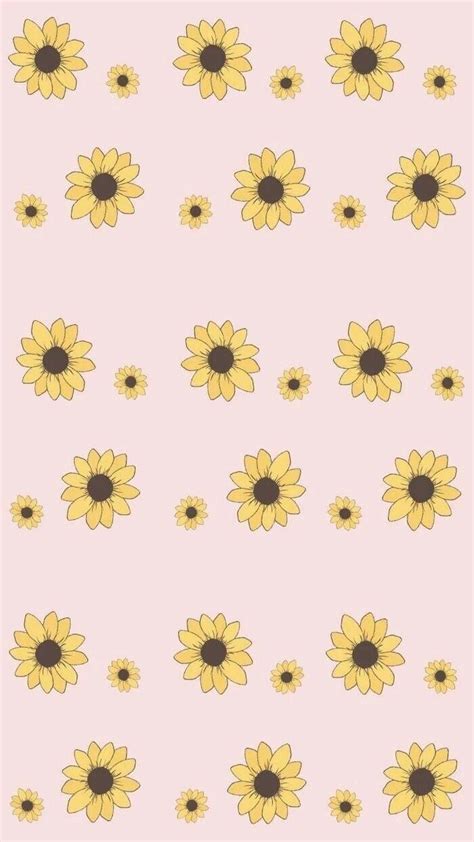 Pink Sunflower Wallpapers - Top Free Pink Sunflower Backgrounds ...