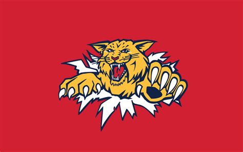 WILDCATS DE MONCTON Tickets - Montreal 2022-2023 - 2 Tickets.ca