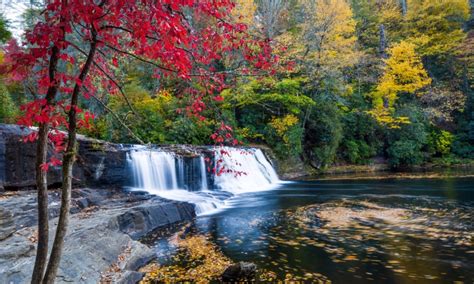 7 Reasons You Should Visit Asheville, North Carolina in the Fall ...