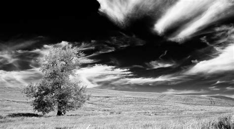 Palouse Gallery - James Neihouse Photography Workshops