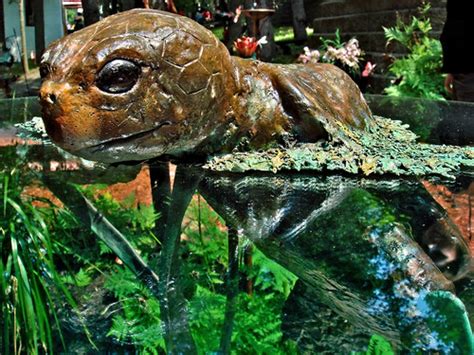 fake awesome tortoise | the water surface is actually a glas… | Flickr