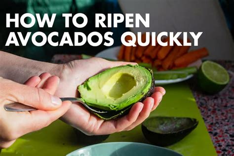 How to Ripen Avocados Quickly (3 Best Methods to Use)