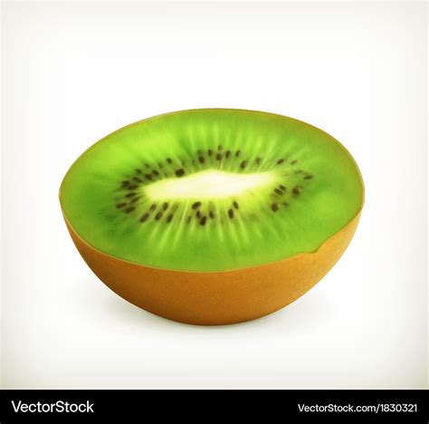 Kiwi fruit Royalty Free Vector Image - VectorStock