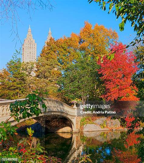 3,357 Central Park Fall Foliage Stock Photos, High-Res Pictures, and Images - Getty Images