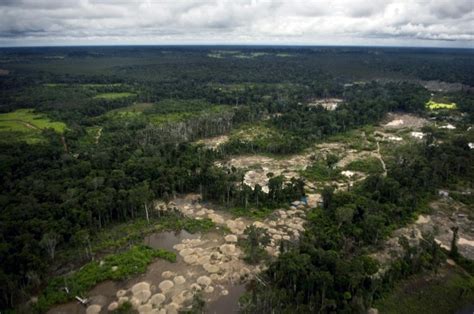 Deforestation in Argentina’s Gran Chaco: Map, Causes, Consequences, and Solutions