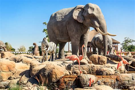 Dubai Safari Park | All you need to know before you go