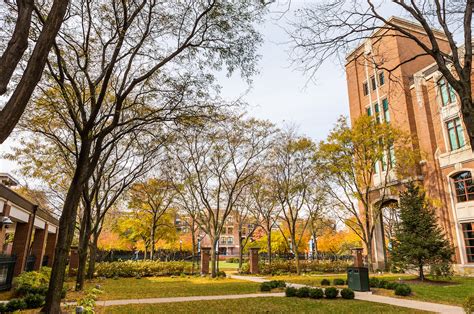 Campus and Community | Sections | DePaul University Newsline | DePaul University, Chicago