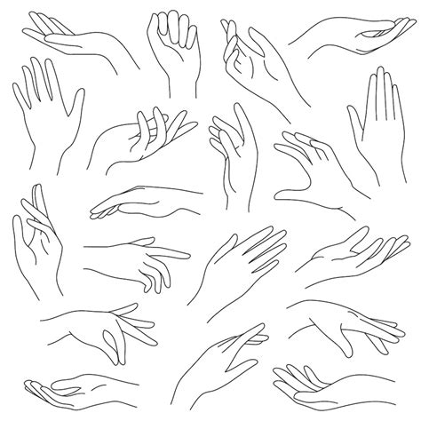 Premium Vector | Female hands line. outline elegant woman hand gestures ...