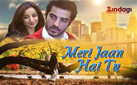 Hindi Tv Serial Meri Jaan Hai Tu Synopsis Aired On Zindagi TV Channel