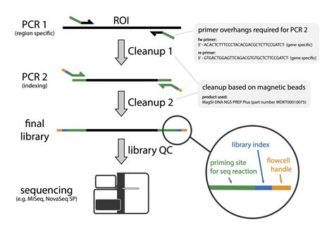 NGI Sweden » Illumina amplicon sequencing