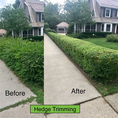 Trimming and Pruning - CLE Landscaping Co., LLC