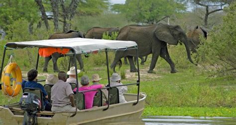 Selous Game Drive | Selous Game Reserve | Tanzania Safaris Tours