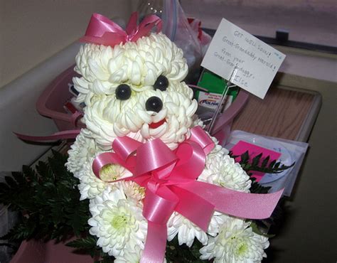 Puppy Flower Bouquets - heart florist