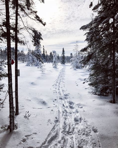 Snowstomper- Snowshoe Trail :: Minocqua Winter Park