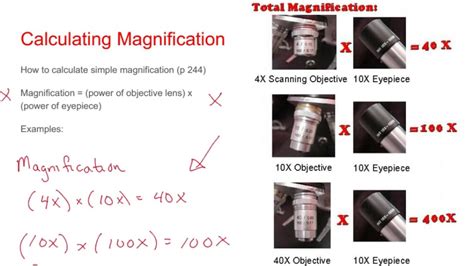 Microscope resolution calculator - seattletyred