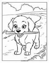 135  Coloriages De chiot Pour Enfants Et Adultes PDF Gratuits à Imprimer sketch template