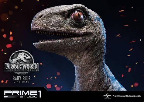 Jurassic World Baby Blue