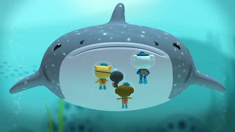 Octonauts - The Octonauts And The Whale Shark : ABC iview