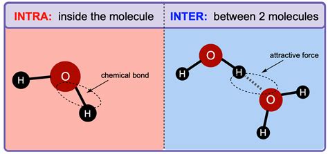 Intermolecular Forces Examples