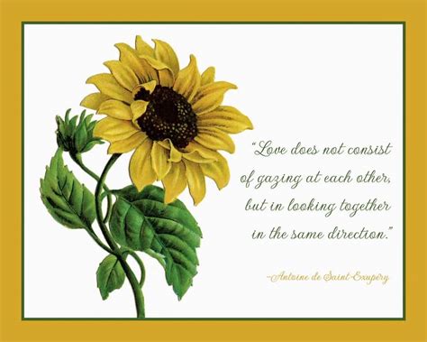 Famous Quotes About Sunflowers Meme Image 18 | QuotesBae