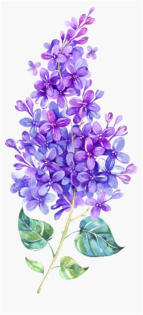 Mint Lavender Floral Clipart Set Watercolor Flowers Clip Art Lilac | My ...