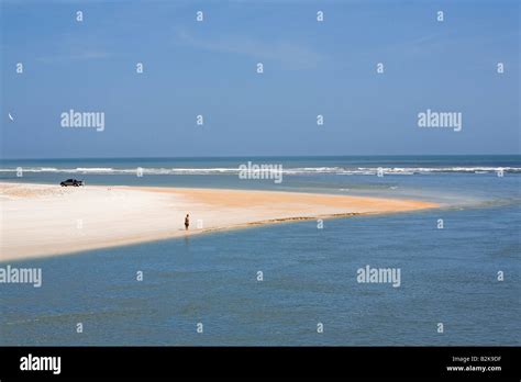 Huguenot Memorial Park, near Jacksonville, Florida Stock Photo - Alamy