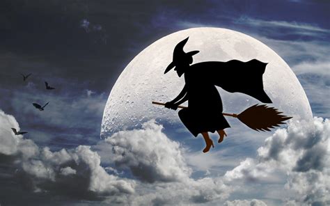 Halloween Witch On Broom Wallpapers - Top Free Halloween Witch On Broom ...