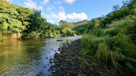 What to Expect on the Kayak to Secret Falls Kauai