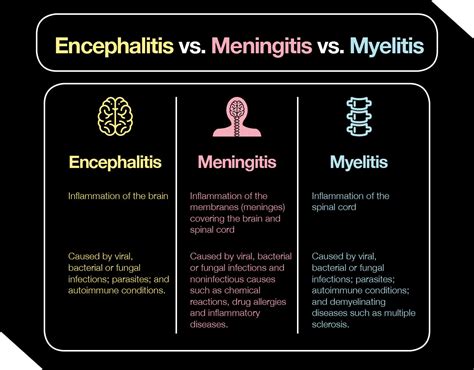 Encephalitis: What Causes Inflammation of the Brain? – The Amino Company