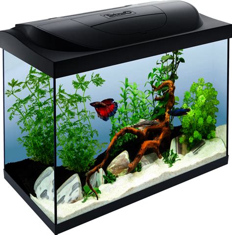 Tetra Starter Line LED 80L Aquarium: Tetra