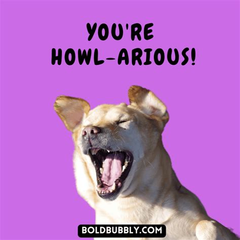 117 Funny Dog Puns That Will Make You Howl With Laughter - Bold & Bubbly