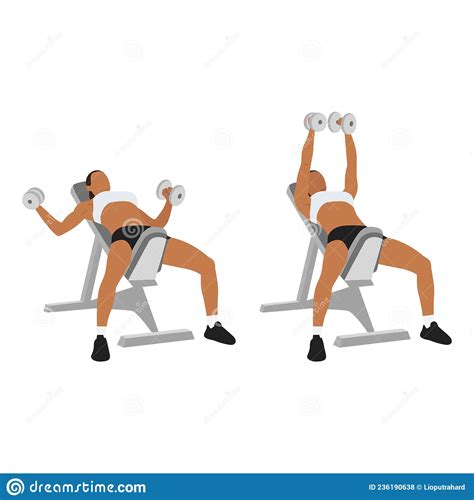 Woman Doing Incline Bench Dumbbell Flyes Exercise. Stock Illustration - Illustration of healthy ...