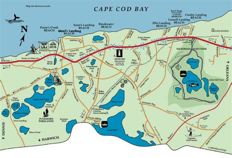 dog-friendly beaches on cape cod - capebeachdog