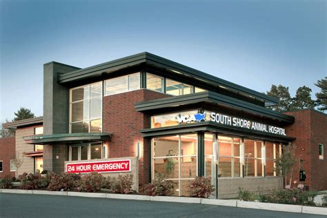 My work!! VCA South Shore Animal Hospital designed by Animal Arts Design | Medical clinic design ...