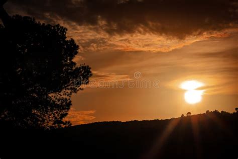 Sunset Silhouette Mountain Trees Stock Photo - Image of silhouette, sunlight: 263077576