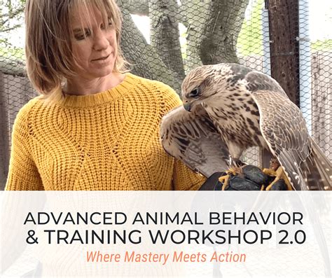 Advanced Animal Behavior Workshop 2.0 - Avian Behavior International